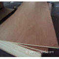 Pilywood commercial Bintangar 18 mm 12 mm Bintangar